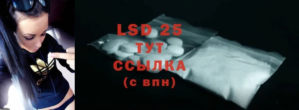 PSILOCYBIN Семёнов