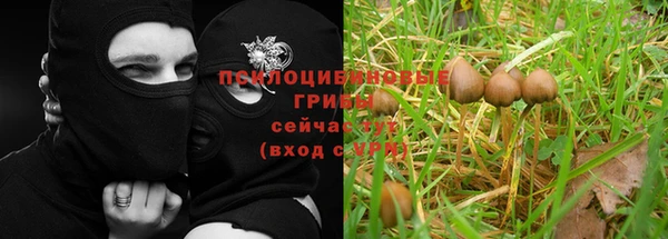 героин Верея